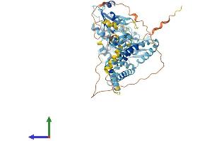 AlphaFold protein structure predicition of Mouse Recombinant Rnf103 Protein, UniprotID Q9R1W3