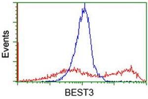 Flow Cytometry (FACS) image for anti-Bestrophin 3 (BEST3) antibody (ABIN1501731) (Bestrophin 3 anticorps)