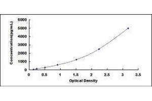 Typical standard curve