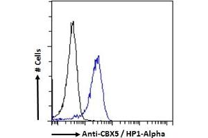 (ABIN185491) Flow cytometric analysis of paraformaldehyde fixed HeLa cells (blue line), permeabilized with 0.