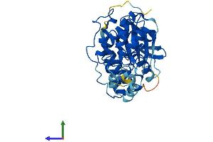 AlphaFold protein structure predicition of Mouse Recombinant Mapk13 Protein, UniprotID Q9Z1B7