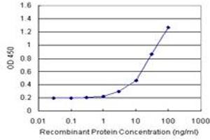 Sandwich ELISA detection sensitivity ranging from 1 ng/mL to 100 ng/mL.