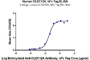 Immobilized Human CLEC12A, hFc Tag at 0. (CLEC12A Protein (AA 65-265) (Fc Tag))