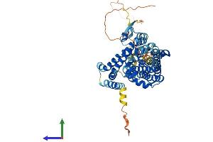 AlphaFold protein structure predicition of Mouse Recombinant Slc1a1 Protein, UniprotID P51906