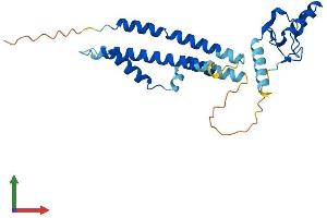AlphaFold protein structure predicition of Human Recombinant NSMCE2 Protein, UniprotID Q96MF7