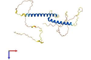 AlphaFold protein structure predicition of Mouse Recombinant Olig1 Protein, UniprotID Q9JKN5
