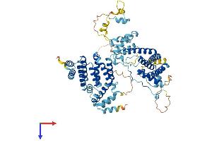 AlphaFold protein structure predicition of Human Recombinant THOC1 Protein, UniprotID Q96FV9