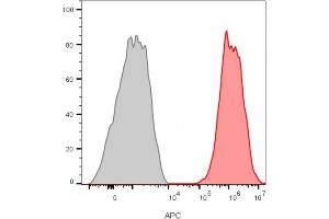 Flow cytometry analysis of MCF-7 cells unstained (gray) or stained with CD81 Rabbit Recombinant Monoclonal Antibody (C81/2885R) and goat anti-mouse CF647 (red).