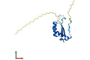 AlphaFold protein structure predicition of Human Recombinant BOLA1 Protein, UniprotID Q9Y3E2