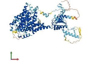 AlphaFold protein structure predicition of Mouse Recombinant Slc26a3 Protein, UniprotID Q9WVC8
