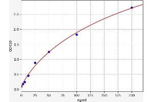 Lactate Dehydrogenase B (LDHB) ELISA Kit