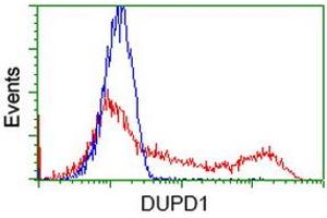 HEK293T cells transfected with either RC214361 overexpress plasmid (Red) or empty vector control plasmid (Blue) were immunostained by anti-DUPD1 antibody (ABIN2452962), and then analyzed by flow cytometry. (DUPD1 anticorps)
