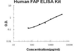 Human Seprase/FAP PicoKine ELISA Kit standard curve (FAP Kit ELISA)
