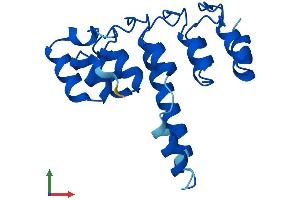 AlphaFold protein structure predicition of Human Recombinant ANKRD22 Protein, UniprotID Q5VYY1