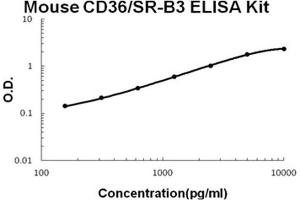 Mouse CD36/SR-B3 PicoKine ELISA Kit standard curve (CD36 Kit ELISA)