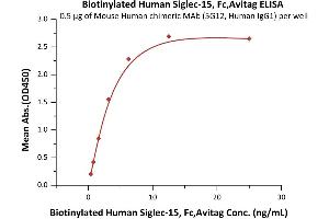 Immobilized Mouse Human chimeric MAb (5G12, Human IgG1) at 5 μg/mL (100 μL/well) can bind Biotinylated Human Siglec-15, Fc,Avitag (ABIN6923188,ABIN6938887) with a linear range of 0.