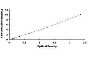 ELISA image for Insulin-Like Growth Factor Binding Protein 1 (IGFBPI) ELISA Kit (ABIN415499)
