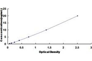 Typical standard curve (Lamin A/C Kit ELISA)