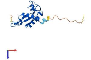AlphaFold protein structure predicition of Human Recombinant SRP19 Protein, UniprotID P09132