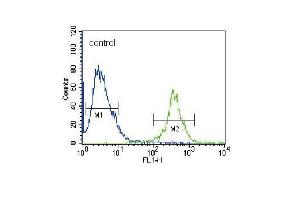 FRK Antibody (N-term) (ABIN392097 and ABIN2841849) flow cytometric analysis of 293 cells (right histogram) compared to a negative control cell (left histogram). (FRK anticorps  (N-Term))