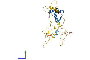 AlphaFold protein structure predicition of Mouse Recombinant Pitx2 Protein, UniprotID P97474