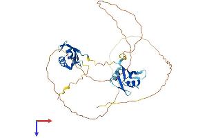 AlphaFold protein structure predicition of Mouse Recombinant Msi1 Protein, UniprotID Q61474
