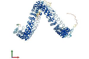AlphaFold protein structure predicition of Human Recombinant ANKRD44 Protein, UniprotID Q8N8A2