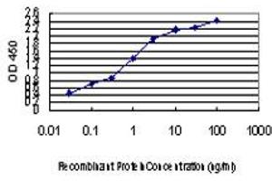 Detection limit for recombinant GST tagged UBE3A is approximately 0.