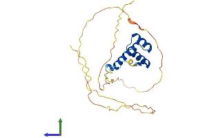 AlphaFold protein structure predicition of Human Recombinant HOXA7 Protein, UniprotID P31268