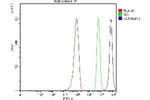 Flow Cytometry analysis of 293T cells using anti-AMSH-LP/STAMBPL1 antibody (ABIN7600389). (STAMBPL1 anticorps  (AA 187-436))