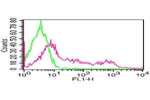 Flow Cytometry (FACS) image for anti-CD8 (CD8) antibody (FITC) (ABIN5027683) (CD8 anticorps  (FITC))