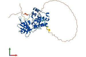 AlphaFold protein structure predicition of Mouse Recombinant Stk17b Protein, UniprotID Q8BG48