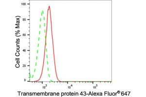 Flow cytometric analysis of Transmembrane protein 43 expression in C2C12 cells using Transmembrane protein 43 antibody (ABIN7800622), 1:2,000).
