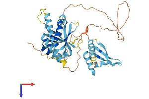 AlphaFold protein structure predicition of Mouse Recombinant Pcbp1 Protein, UniprotID P60335