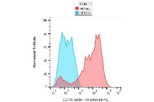 Surface staining of CD105 on Huvec cells with anti-CD105 (MEM-229) biotin. (Endoglin anticorps  (Biotin))