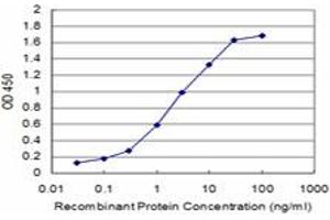 Detection limit for recombinant GST tagged CHML is approximately 0.
