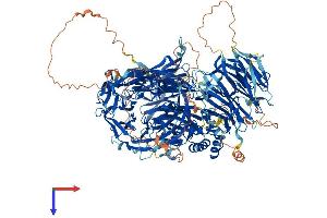 AlphaFold protein structure predicition of Human Recombinant CPSF1 Protein, UniprotID Q10570