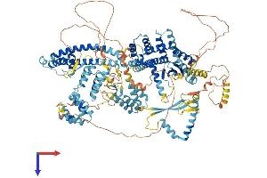 AlphaFold protein structure predicition of Human Recombinant SIN3B Protein, UniprotID O75182