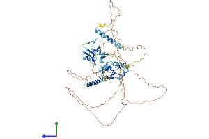 AlphaFold protein structure predicition of Human Recombinant RNF180 Protein, UniprotID Q86T96