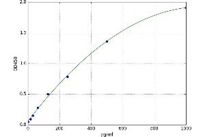 Calbindin (CALB1) ELISA Kit