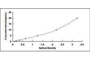 Retinoid X Receptor, alpha (RXRA) ELISA Kit