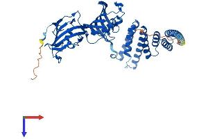 AlphaFold protein structure predicition of Human Recombinant FKBP4 Protein, UniprotID Q02790