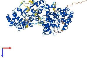 AlphaFold protein structure predicition of Mouse Recombinant Tbck Protein, UniprotID Q8BM85