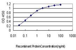 Detection limit for recombinant GST tagged ARMC8 is approximately 0. (ARMC8 anticorps  (AA 287-385))