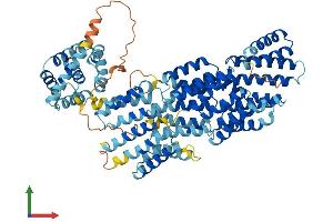 AlphaFold protein structure predicition of Human Recombinant ANAPC5 Protein, UniprotID Q9UJX4