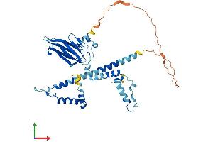 AlphaFold protein structure predicition of Human Recombinant NUDCD3 Protein, UniprotID Q8IVD9