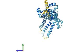 AlphaFold protein structure predicition of Mouse Recombinant Slc25a38 Protein, UniprotID Q91XD8