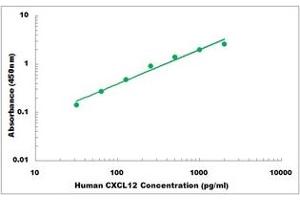 Representative Standard Curve (CXCL12 Kit ELISA)