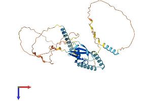 AlphaFold protein structure predicition of Human Recombinant HERPUD1 Protein, UniprotID Q15011