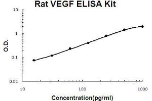 Rat VEGF Accusignal ELISA Kit Rat VEGF AccuSignal ELISA Kit standard curve.